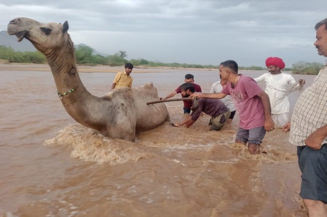 Barmer News Barmer News