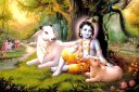 santan gopal mantra, dharma karma, tantra mantra, jyotish tips