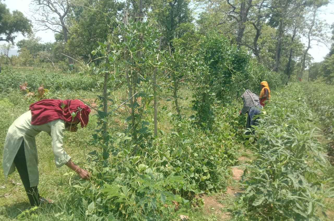 Chhattisgarh