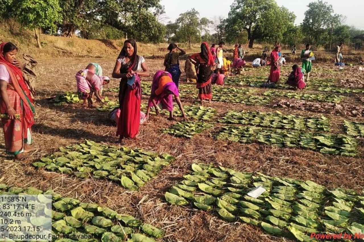 Chhattisgarh