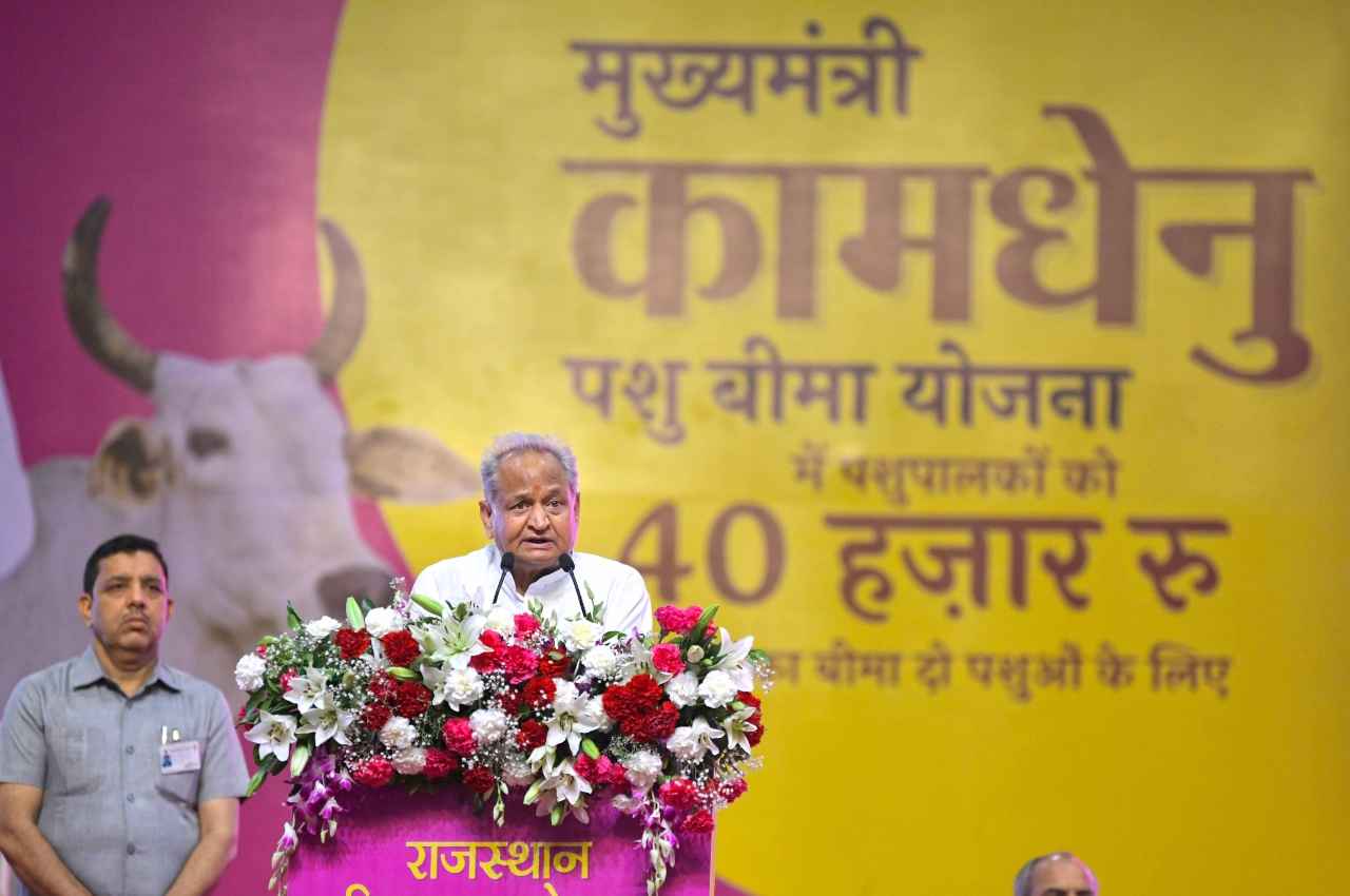 Jaipur: सीएम गहलोत ने तीन दिवसीय कृषि महोत्सव का किया शुभारंभ, बोले- 'कृषि में हो अधिक से अधिक रिसर्च'