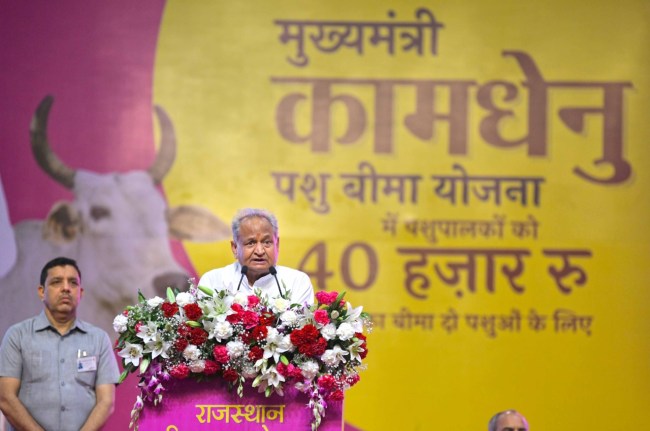 Jaipur, CM Ashok Gehlot Innagurated Agriculture Festival