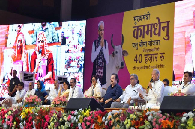 Jaipur, CM Ashok Gehlot Transfer Crore reares of Rupees In Cattle