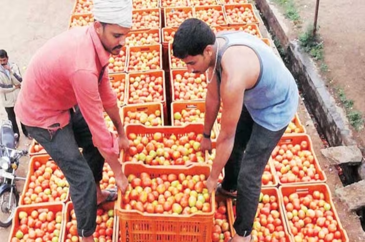 Jaipur, Huge Jump In tomato Price