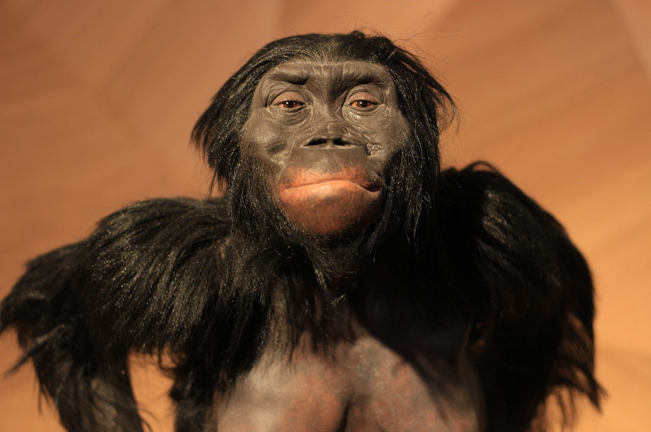 Neanderthal primate