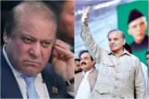Pakistan News, Prime Minister Shehbaz Sharif, Nawaz Sharif, PML-N president
