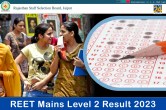 REET Mains Level 2 Result 2023