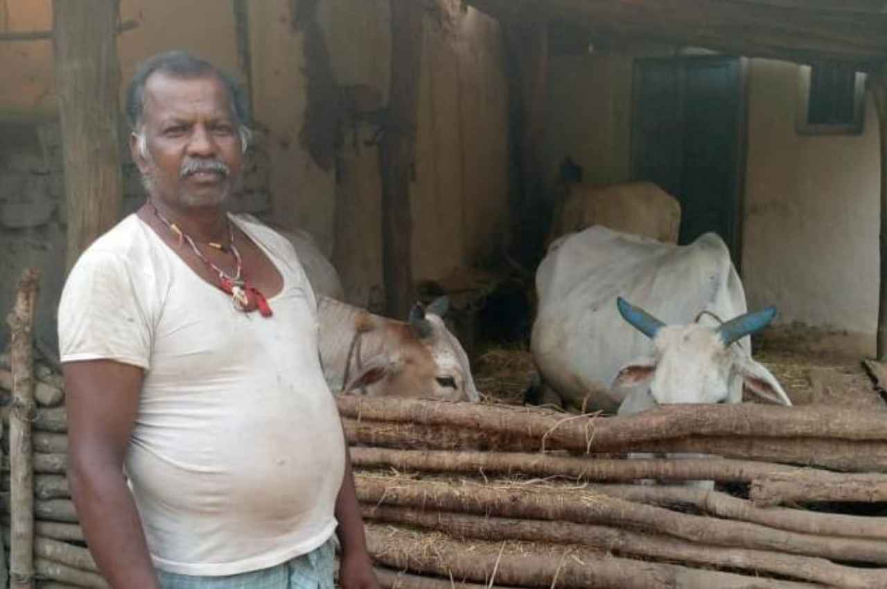कोरबा: छत्तीसगढ़ सरकार की गोधन न्याय योजना से पशुपालकों को मिल रहा लाभ, किसानों के लिये बनी अतिरिक्त आय का जरिया