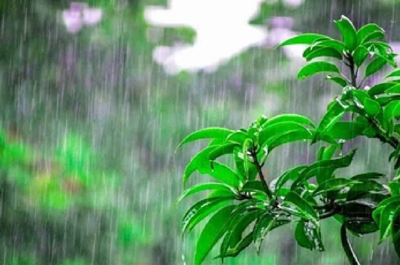 Rajasthan Weather