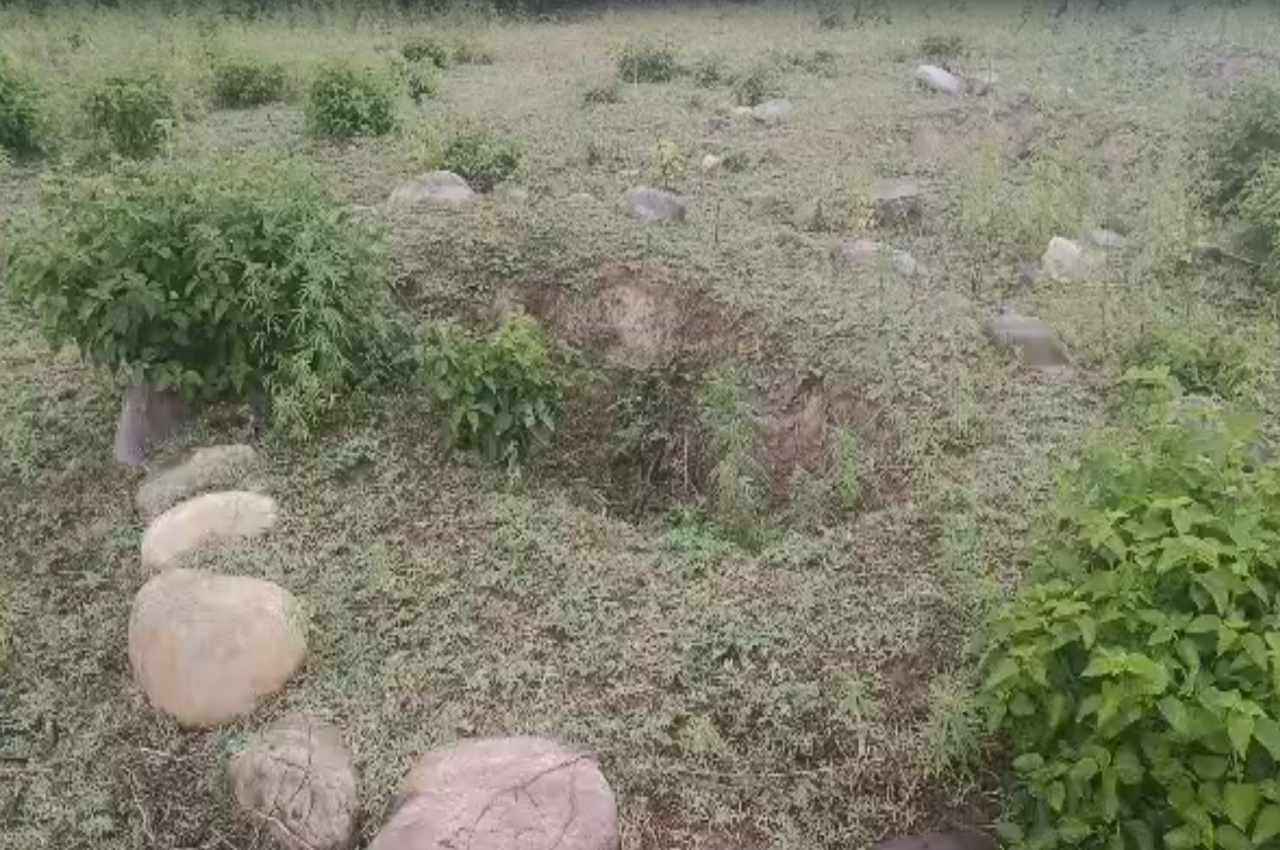 Uttarakhand News: अतिक्रमण का बड़ा खेल; राजाजी टाइगर रिजर्व की जमीन पर बना दिया कब्रिस्तान