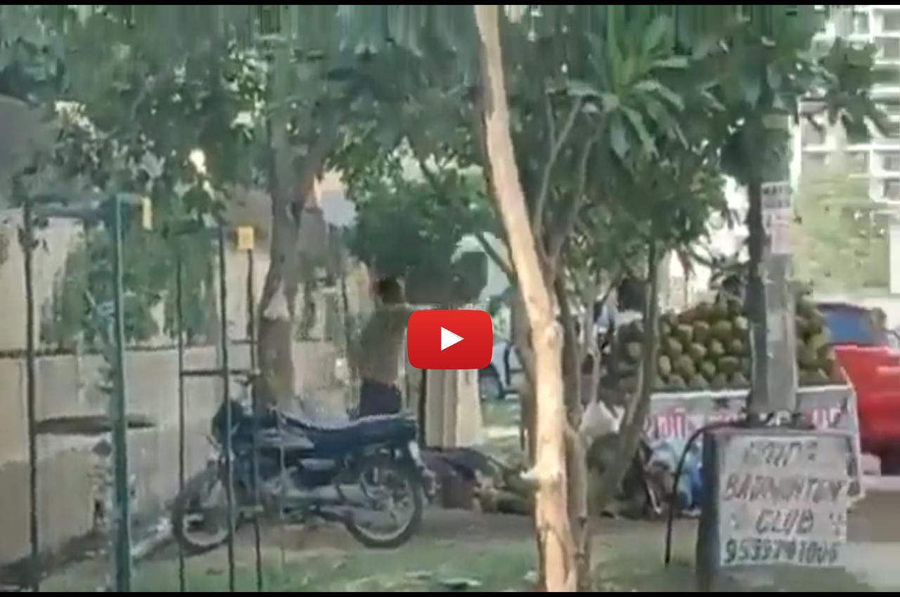 Viral Video, Greater Noida Video, Coconut Water, Greater Noida News, Viral News