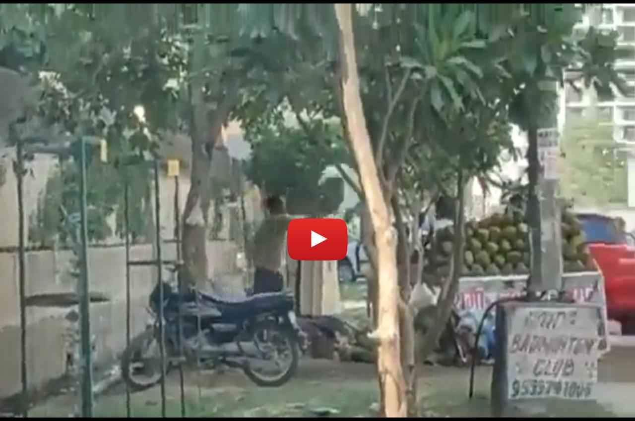 Viral Video: नारियल पानी के शौकीन हैं तो देख लें ये वीडियो! ग्रेटर नोएडा में कैमरे में कैद हुई शख्स की ये करतूत