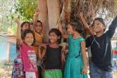 banyan and peepal tree in bhopal