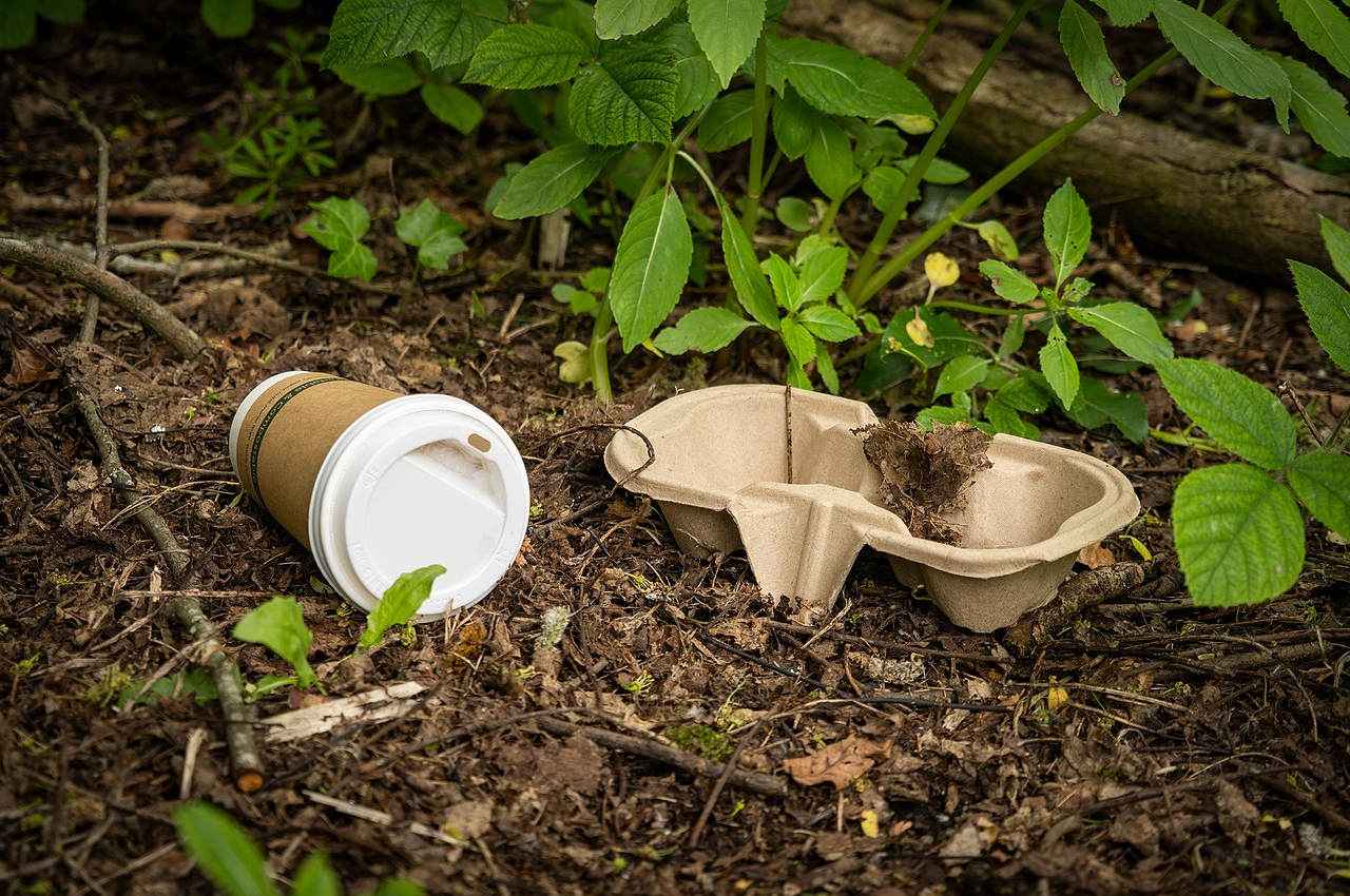 अब बांस से बनेगा Eco-Friendly प्लास्टिक, IIT टीम डवलप करेगी नई टेक्नीक