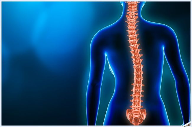 Scoliosis Awareness Day 2023