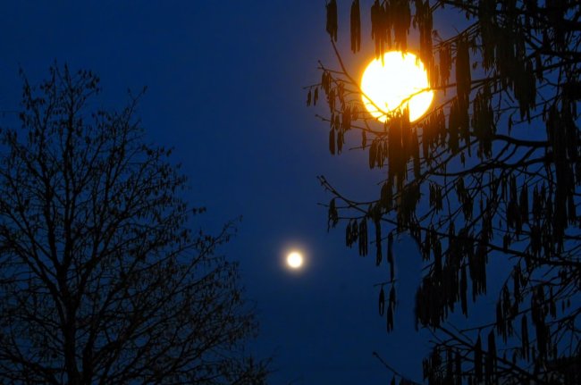 Space news, space news hindi, NASA, earth, science news, science news hindi