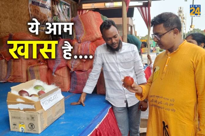 West Bengal, World's most expensive mango, Miyazaki, Siliguri Mango festival