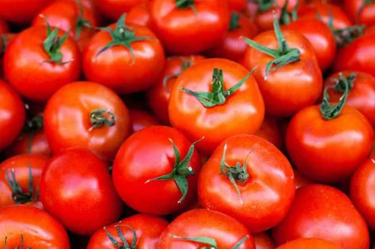 Tomato price in Chhattisgarh: टमाटर के भाव सातवें आसमान पर, बाकी सब्जियों के भी बढ़े दाम