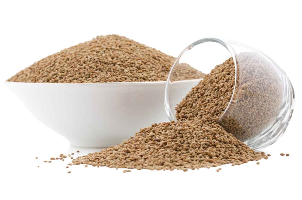 Ajwain Benefits: किचन में रखें ये छोटे से दाने सेहत को देते हैं बड़ा लाभ, जानें इसके फायदे