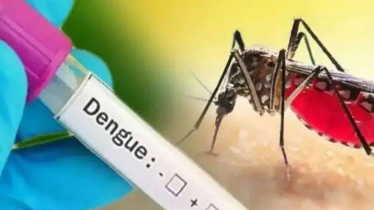 Bengal Dengue Case, Dengue case in kolkata, dengue death case, kolkata news, west bengal news