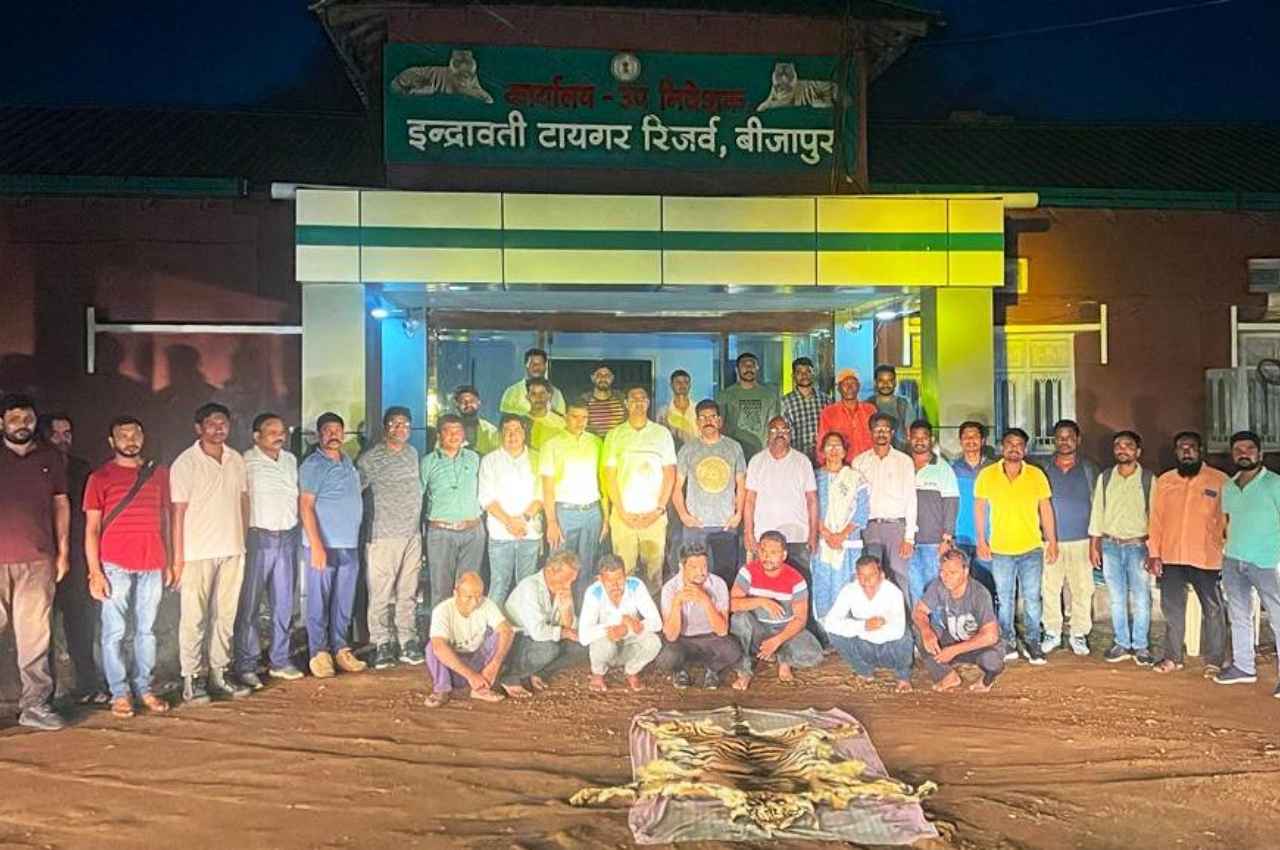 तस्करों पर बड़ी कार्रवाई, बीजापुर के मद्देड़ बफर रेंज में बाघ के खाल के साथ 10 गिरफ्तार