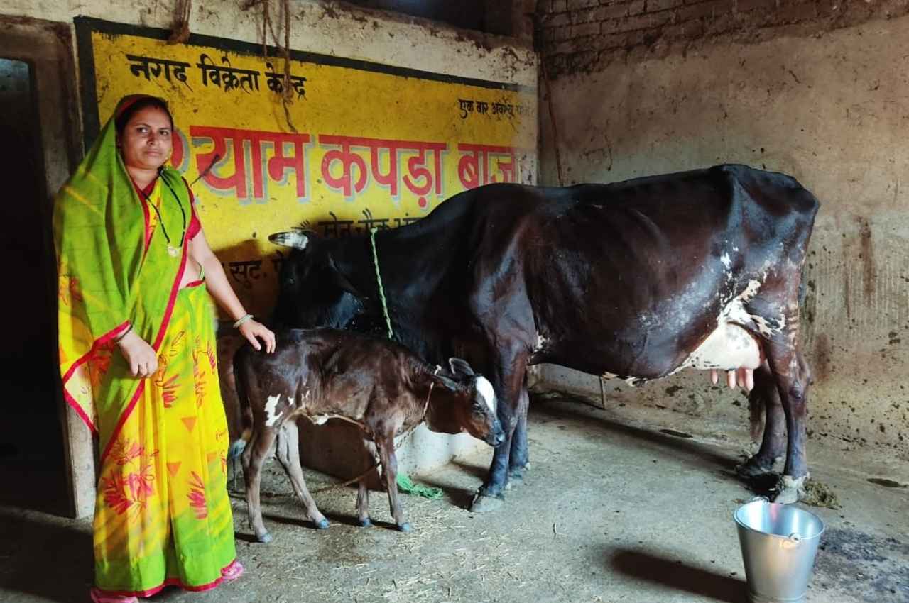 Chhattisgarh