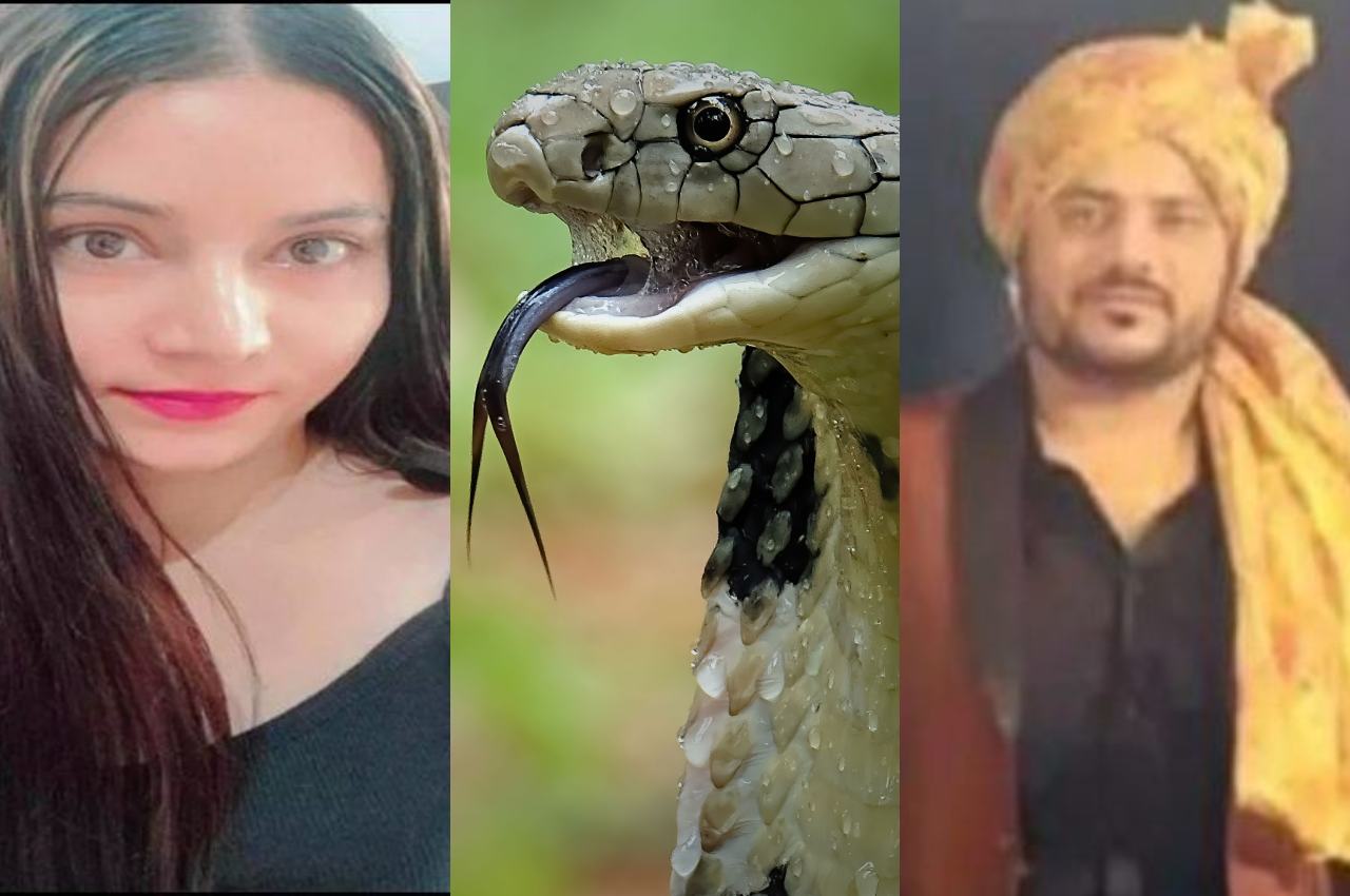 Crime News, Haldwani Crime News, cobra Snake, Uttarakhand News
