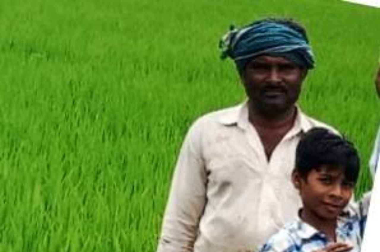 राजीव गांधी किसान न्याय योजना से बदली धनीराम की किस्मत, योजना का लाभ उठा लिया एक जोड़ी बैल