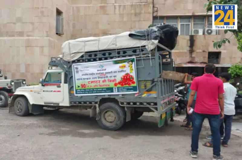 Tomato Price Reduced In Jaipur and Kota