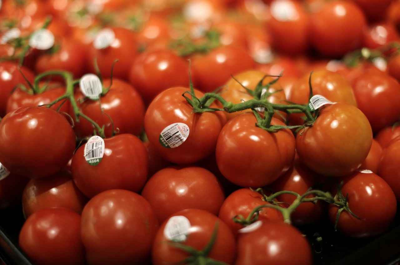 Tomato Price: राज्य में बढ़े सब्जियों के दाम, टमाटर के बाद अदरक और हरी मिर्च भी हुआ महंगा