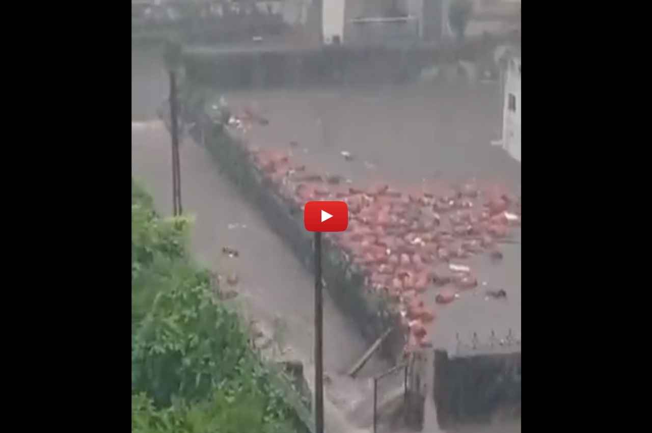 Viral Video, Gujarat Flood, Gas cylinders flow, Navsari Viral Video, Navsari Viral News
