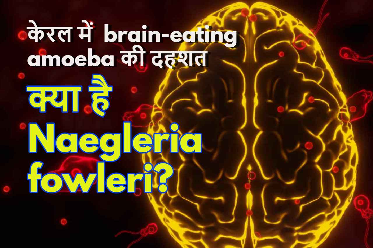 मस्तिष्क खाने वाला amoeba Naegleria fowleri क्या है? इससे केरल में फैली है दहशत