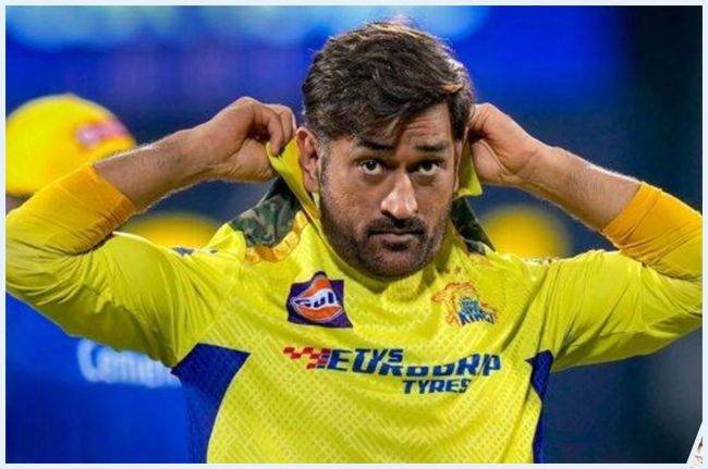 ms dhoni Mohammad Shahzad afghanistan cricket team ipl 2024