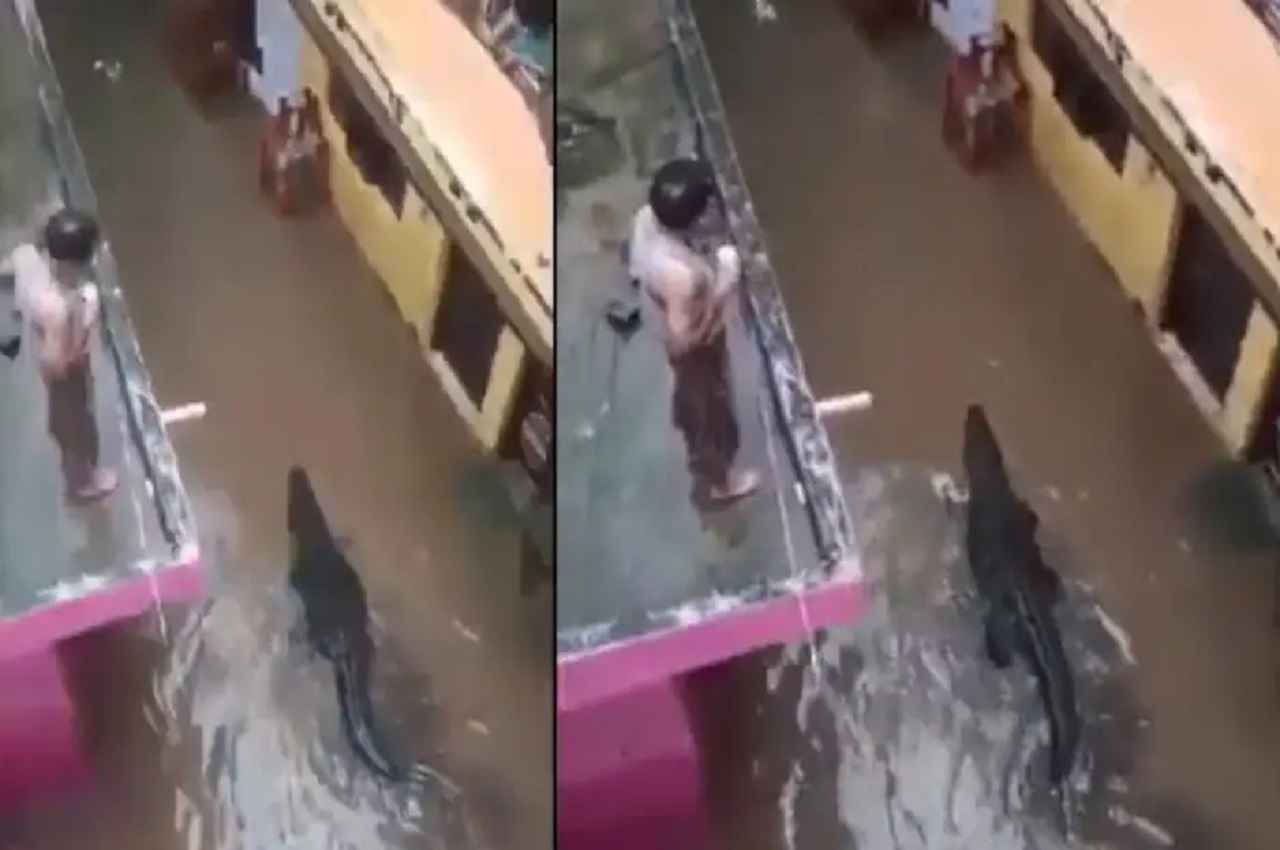 Viral Video: पानी से भरी सड़कों पर दिखा विशाल मगरमच्छ, लोगों में भरा खौफ