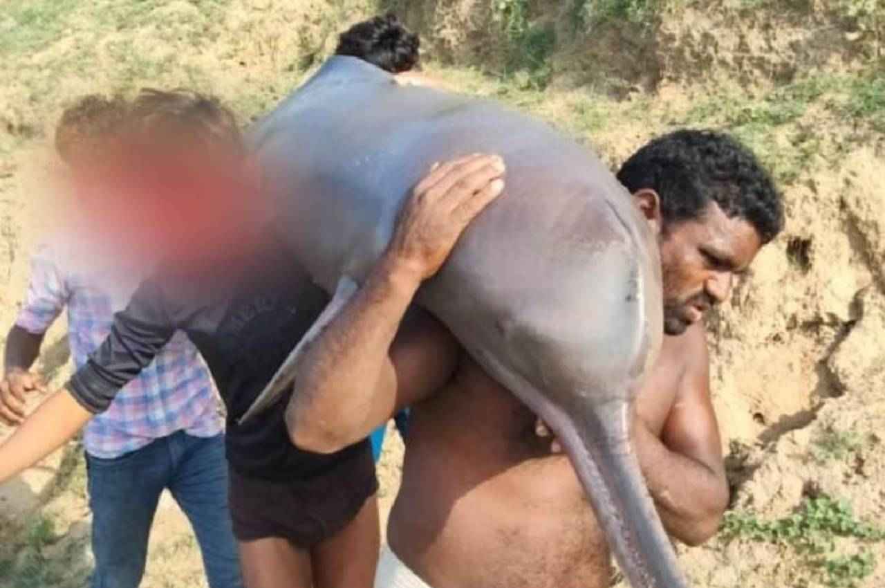 कौशांबी में मछुआरों के जाल में फंसी 'बड़ी मछली', पुलिस को बताने के बजाए 'पचा' गए; FIR दर्ज