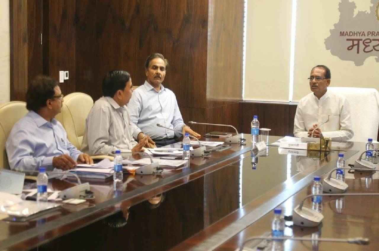 सीएम शिवराज ने चीता प्रोजेक्ट की समीक्षा बैठक, कूनो नेशनल पार्क में भेजी जाएगी विशेषज्ञों की टीम
