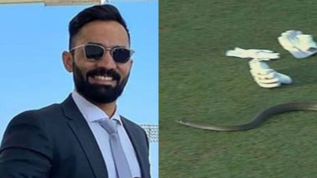 lanka Premier League snake dinesh karthik