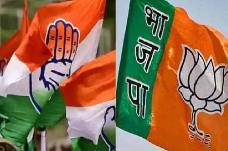 mp assembly election