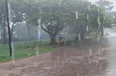 mp monsoon update heavy rain alert