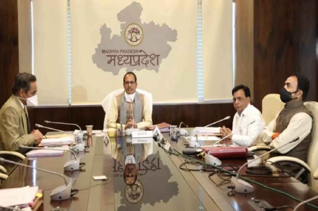 mp news mp news