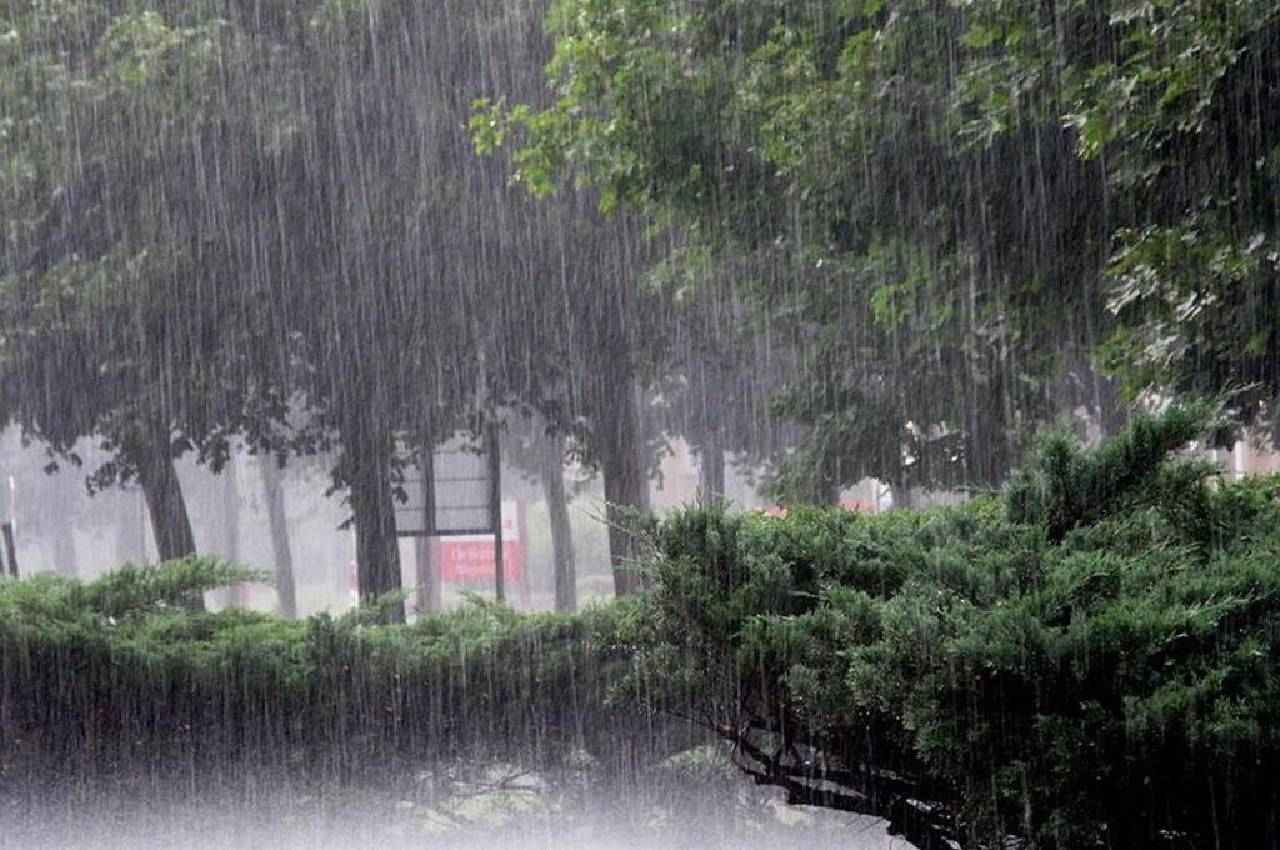 MP में भारी बारिश की चेतावनी, इन जिलों में होगी झमाझम बरसात, नर्मदा नदी उफान पर