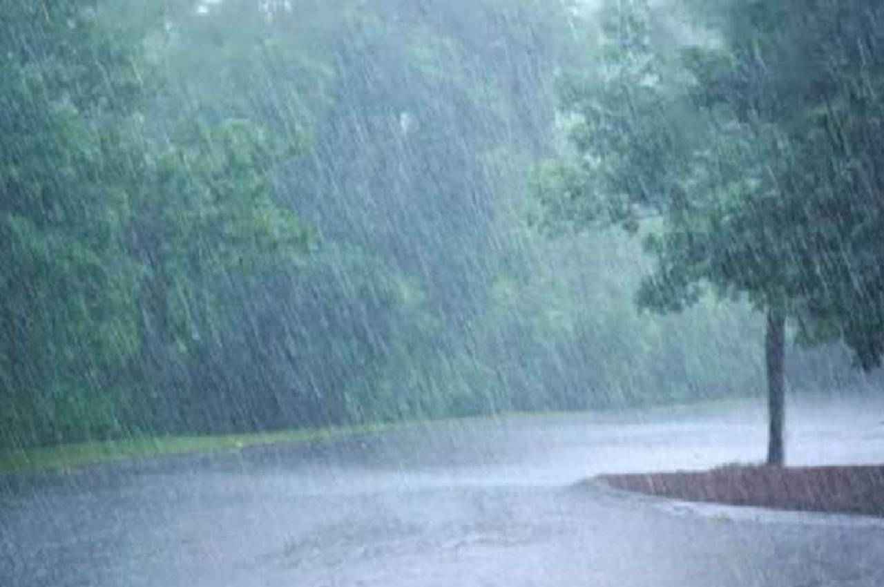 मध्य प्रदेश में जारी है झमाझम बारिश का दौर, भोपाल समेत इन जिलों में तेज पानी गिरने का अलर्ट