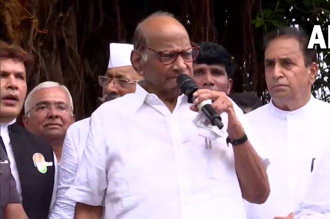 sharad pawar NCP