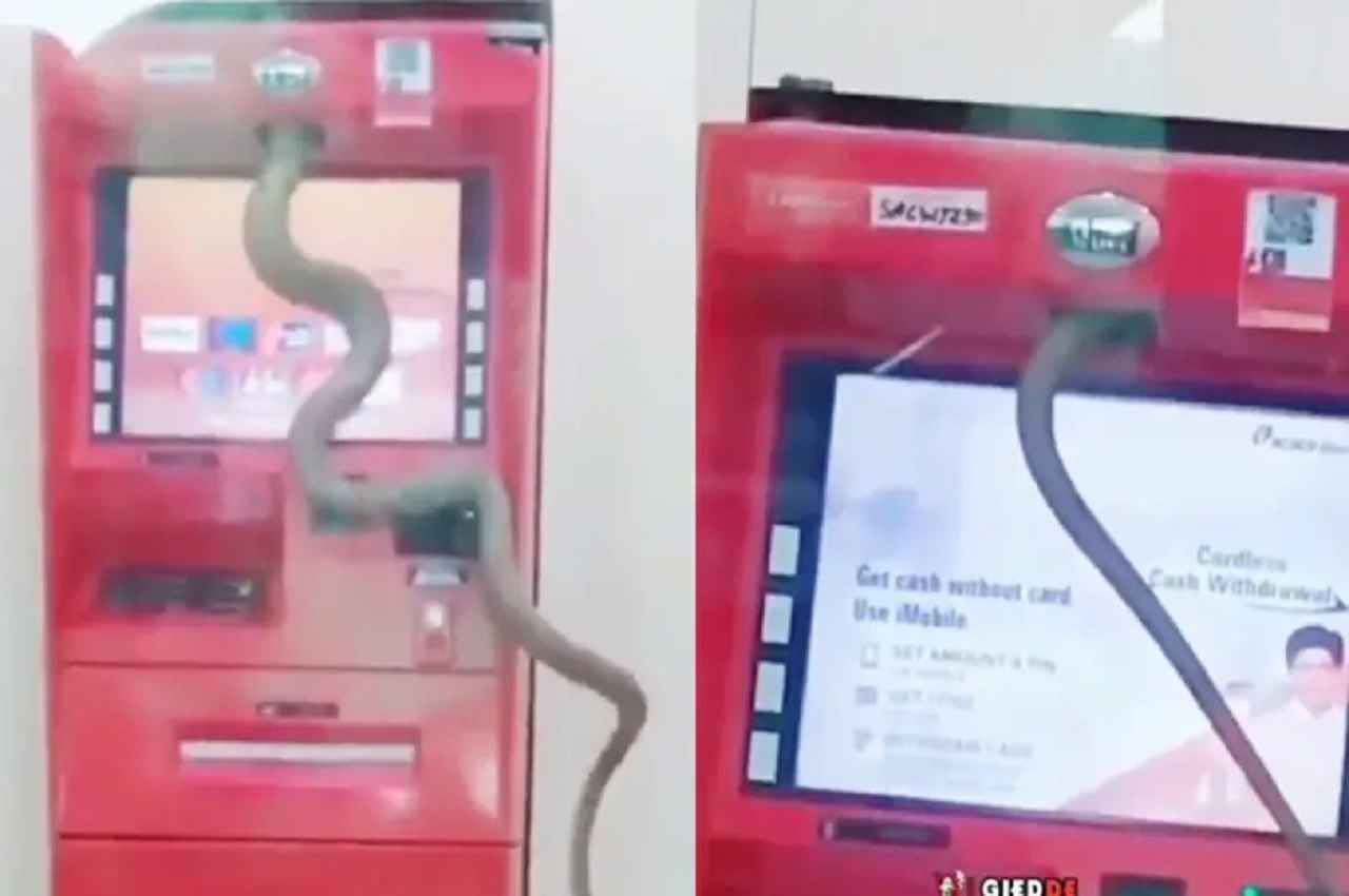 'नकदी निकालने' के लिए ATM में घुस गया सांप! Video को देख लोगों ने भेजे ऐसे Memes