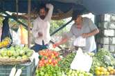 tomato price, tomato price in india, tomato price hike, tomato price in uttarakhand