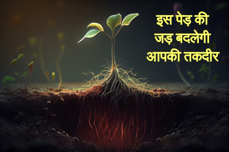Kaalchakra, kaalchakra today, Pandit Suresh Pandey, Jyotish tips,