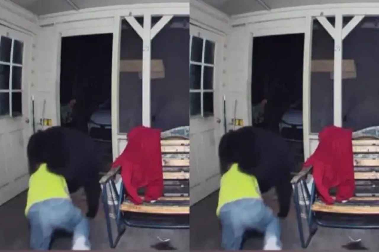 Viral Video: पालतू कुत्तों को बचाने शख्स ने दांव पर लगाई अपनी जान, भालू के साथ हुई भयंकर लड़ाई