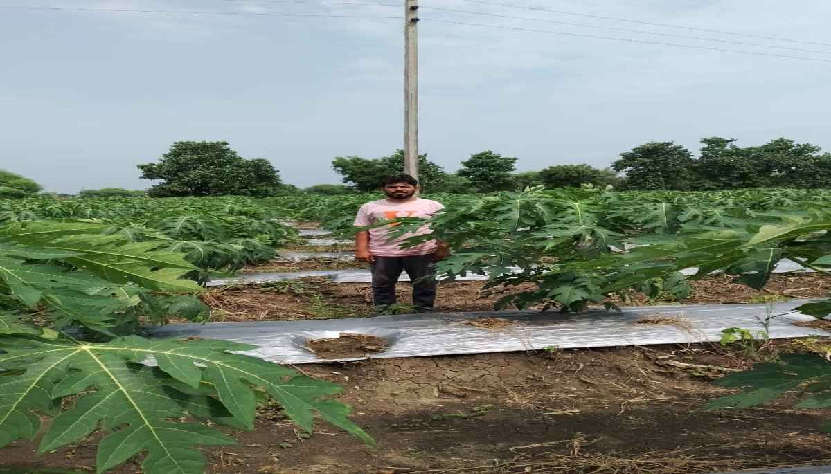 राजीव गांधी किसान न्याय योजना Rajiv Gandhi Kisan Nyay Yojana, Chhattisgarh Government, Farmers, Chhattisgarh News, Raipur News