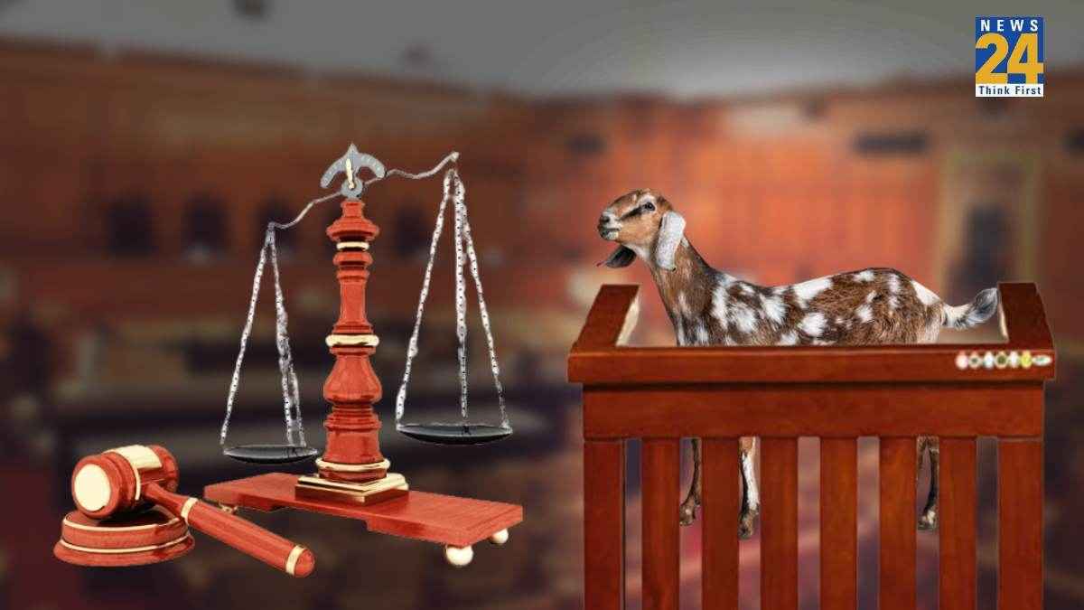 'बकरी की गवाही' ने दिलाई दुराचारी को उम्रकैद; ये है 7 साल की बच्ची के कत्ल से न्याय तक की कहानी