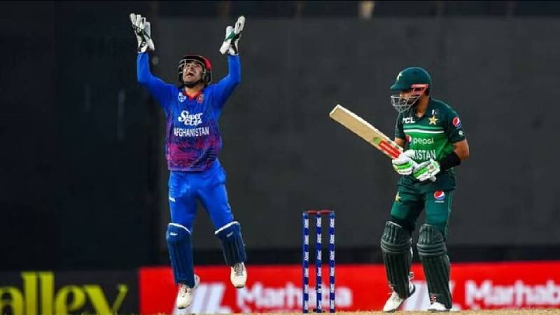 cricket news